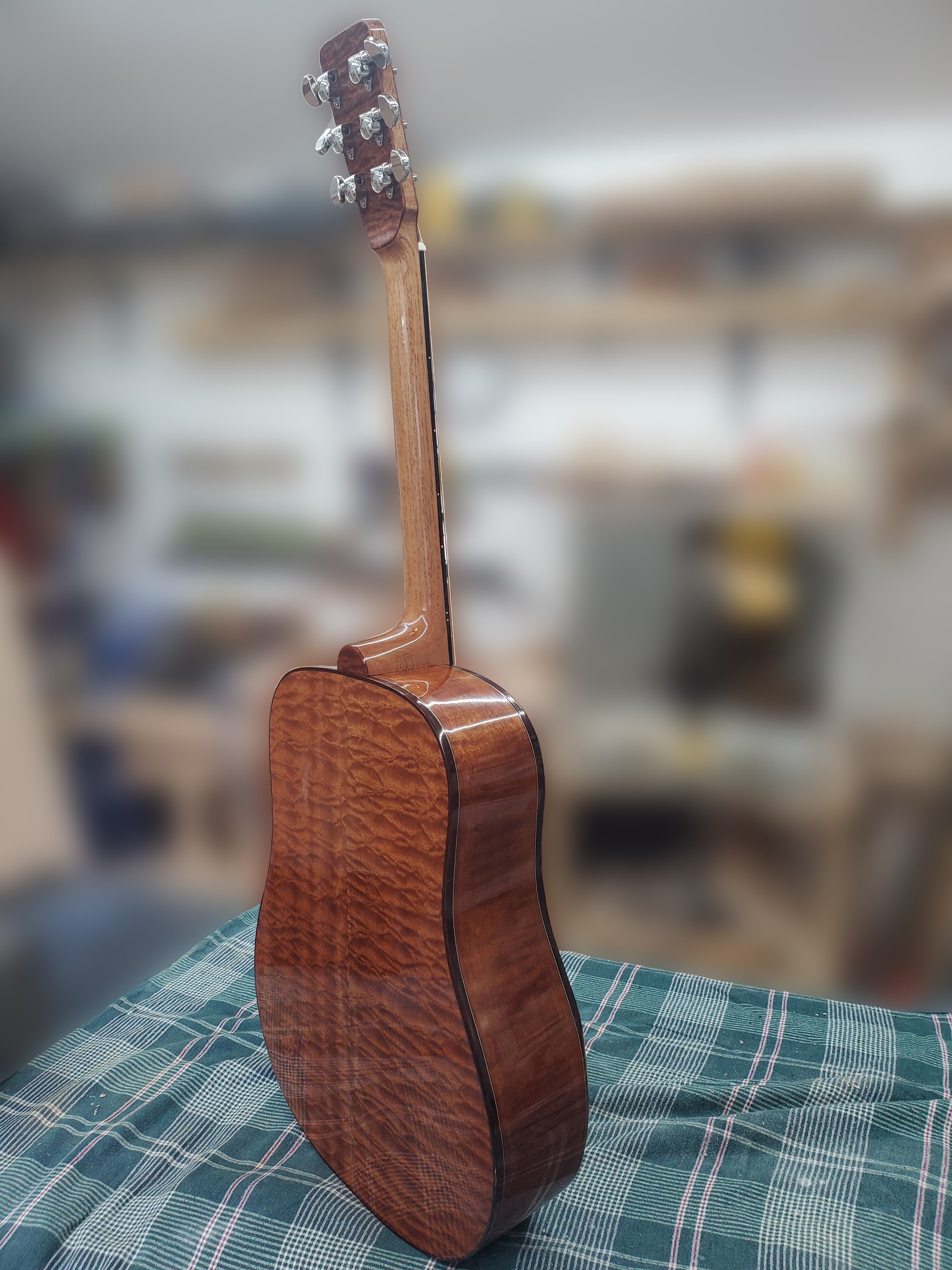guitar rear view